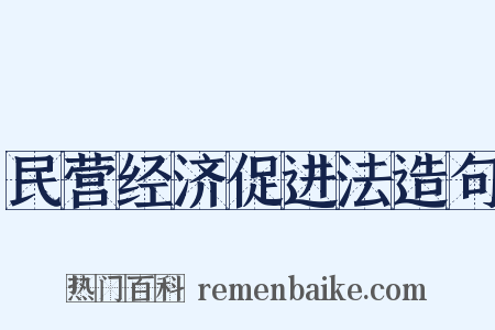 民营经济促进法造句是什么意思的图片